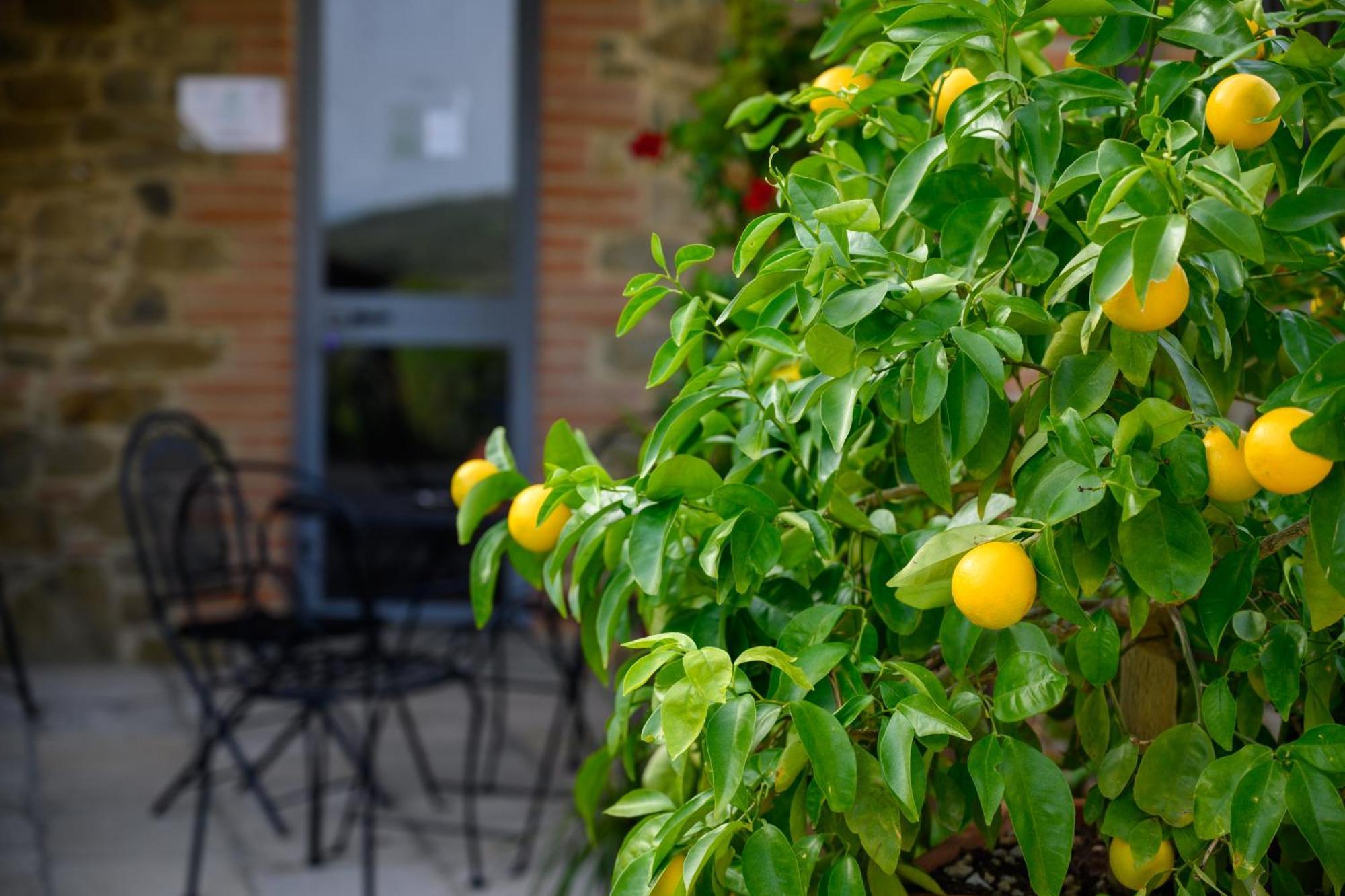 Agriturismo Borgo Sant'Ercolano Ciggiano Екстер'єр фото